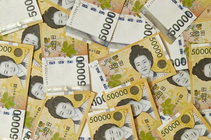 기사의 이해를 돕기 위한 사진 / 이하 셔터스톡