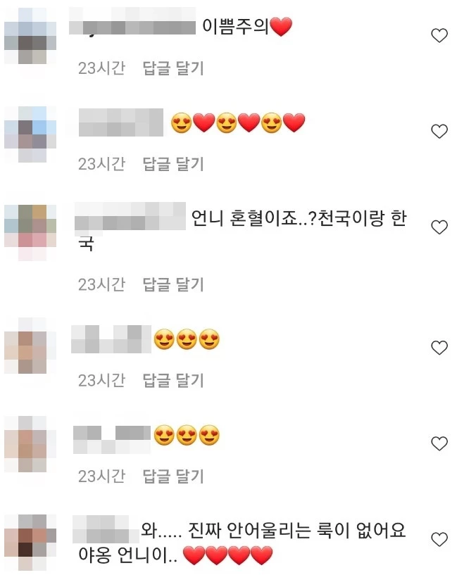 야옹이 작가 인스타그램 댓글창 캡처