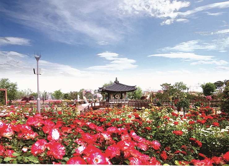 섬진강기차마을(장미공원)