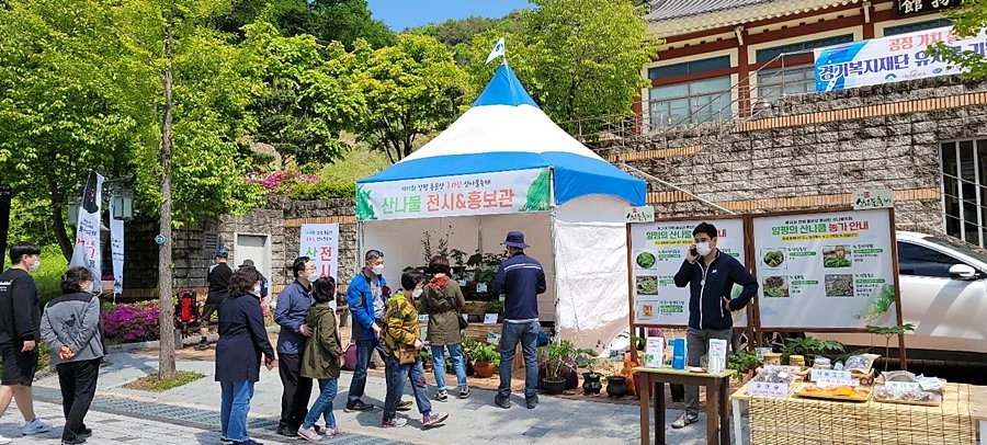 이하 양평군청