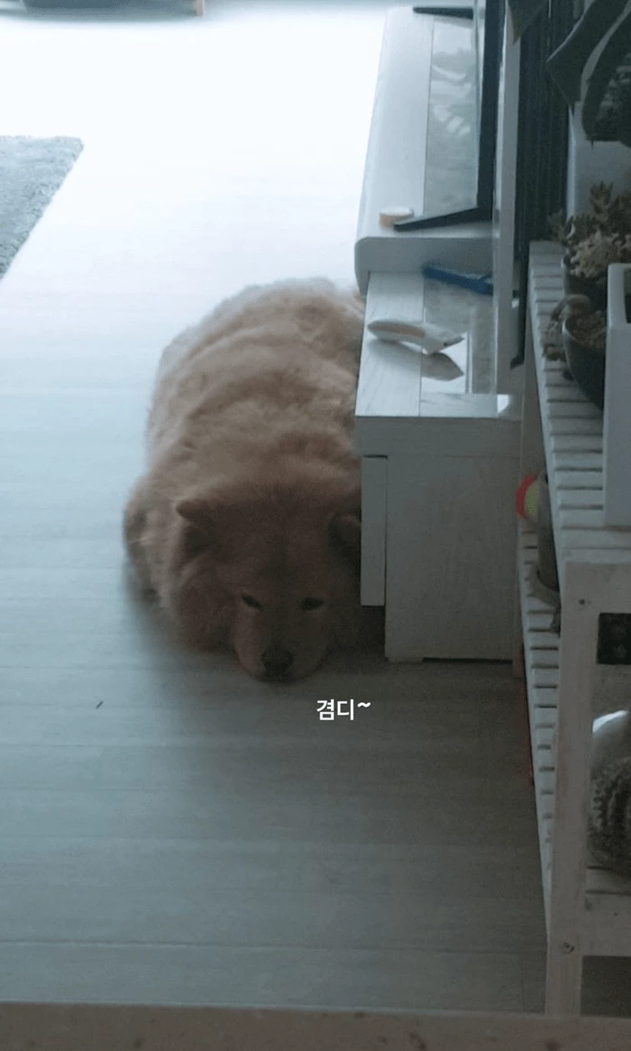 경리 인스타그램