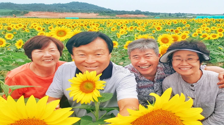 히든해남 마산면해바라기농장(농업회사법인 (주)남해)