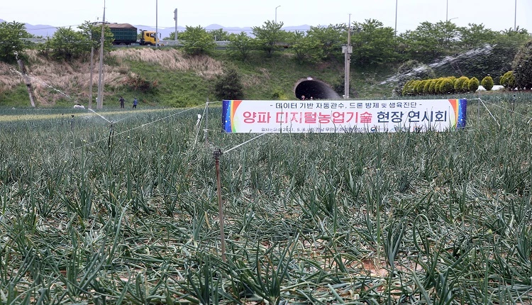 자동 물관리 시스템 / 농촌진흥청