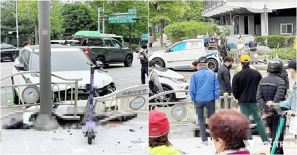 사고 현장 / 위키트리