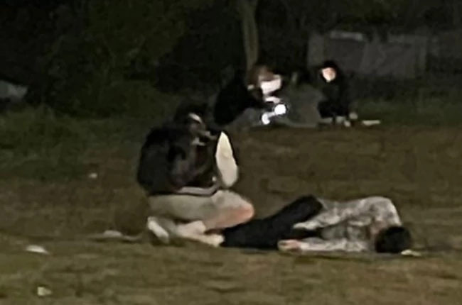 누워 있는 사람이 한강에서 실종돼 사망한 손정민군이고 그 옆에 있는 사람이 손군의 친구 A군이다.  / 목격자가 촬영해 경찰에 제공한 사진.