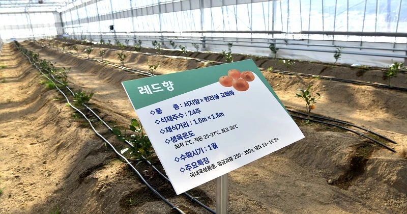 기후변화 대체작목 발굴 / 장수군