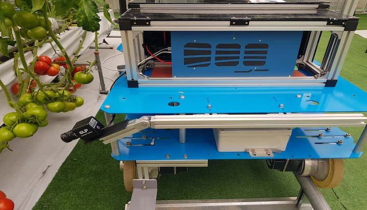 토마토 영상 정보 취득 / 농촌진흥청