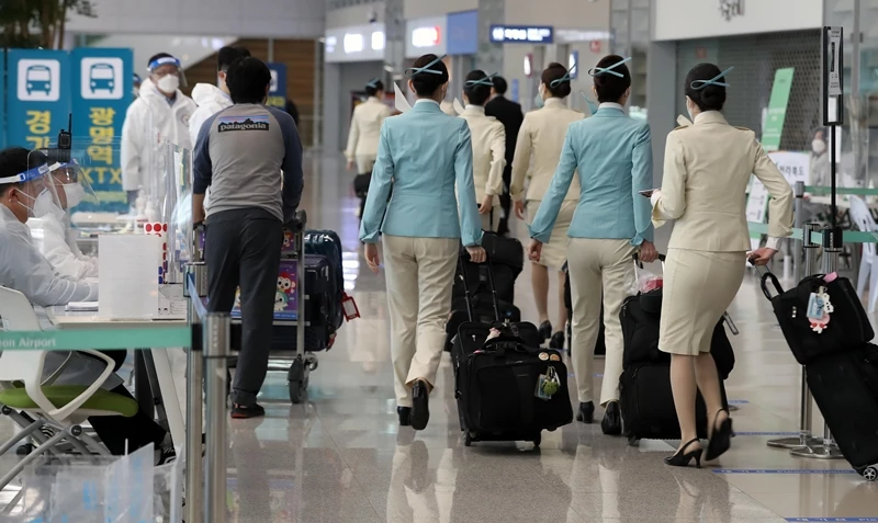 항공사 승무원들이 인천국제공항 제2여객터미널 입국장을 나서고 있다 / 뉴스1