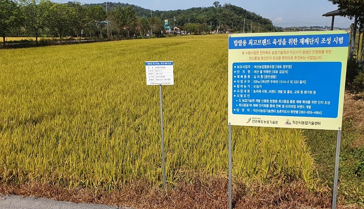 십리향 재배단지 / 익산시