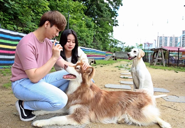 영진전문대가 펫케어과를 신설한다(관련 이미지)