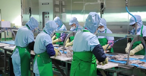 거점단지 입주업체 가공 관련 사진 / 군산시