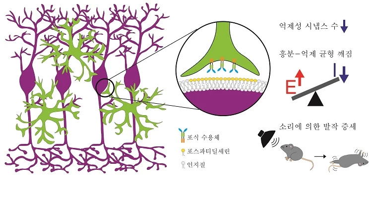 연구 이미지 / 카이스트