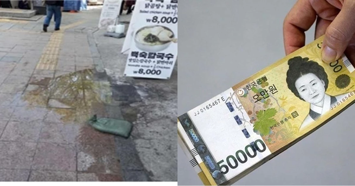 이하 연합뉴스, 이하 픽사베이