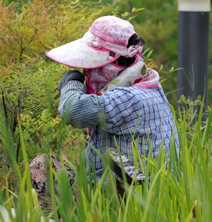 기사와 관련 없는 자료사진 / 뉴스1