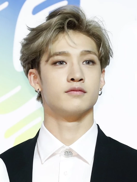 스트레이키즈 방찬 / 뉴스1