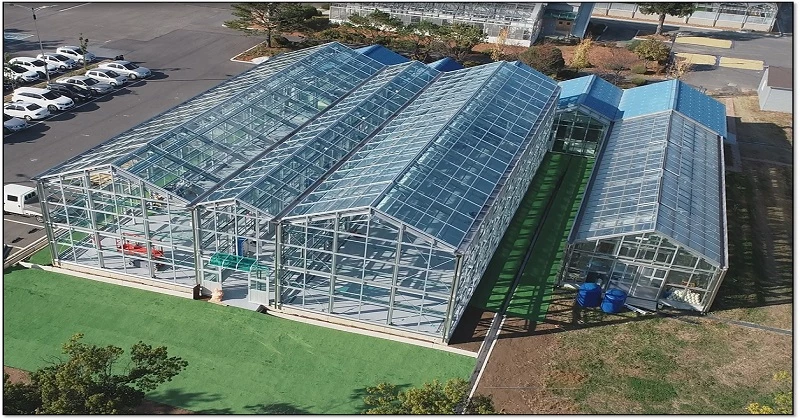 노지 디지털온실 / 농촌진흥청