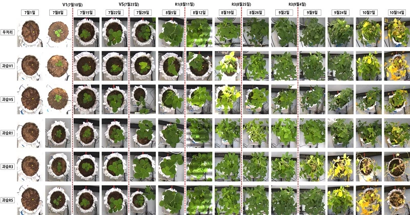 노지 디지털 영상처리 / 농촌진흥청