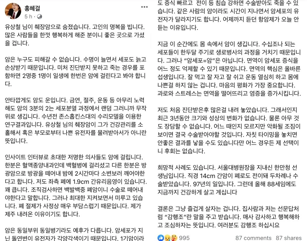 홍혜걸이 쓴 글 전문