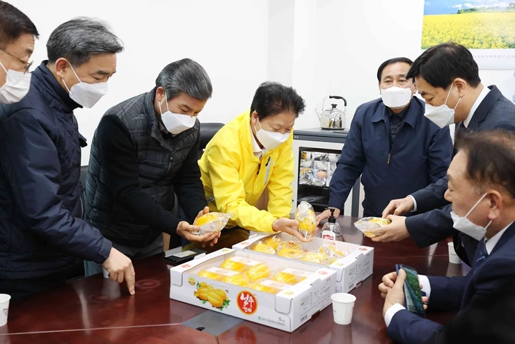 월항농협 농산물 전문생산단지 지정-참외포장 점검 / 성주군
