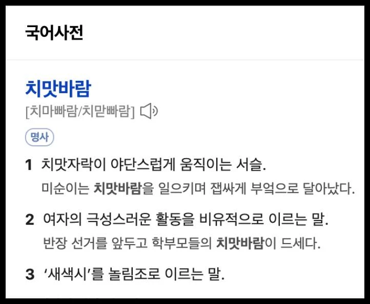 네이버 국어사전