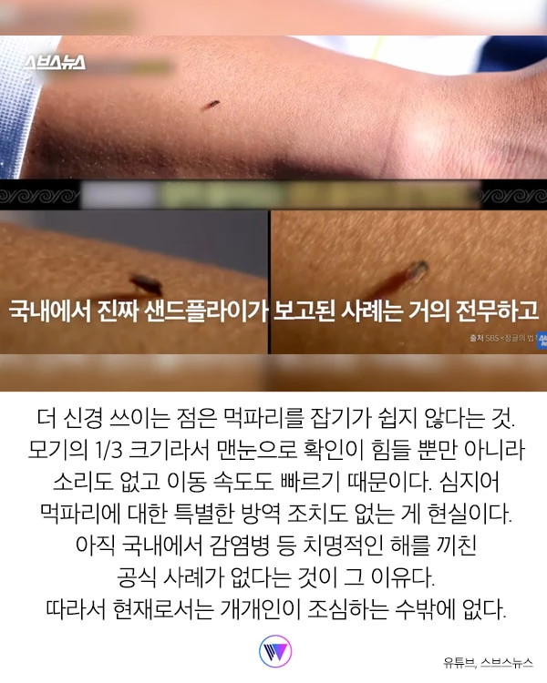 “모기보다 더 가려워...” 피부 ‘찢어' 흡혈하는 해충 ‘먹파리' 주의보