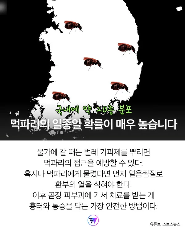 “모기보다 더 가려워...” 피부 ‘찢어' 흡혈하는 해충 ‘먹파리' 주의보