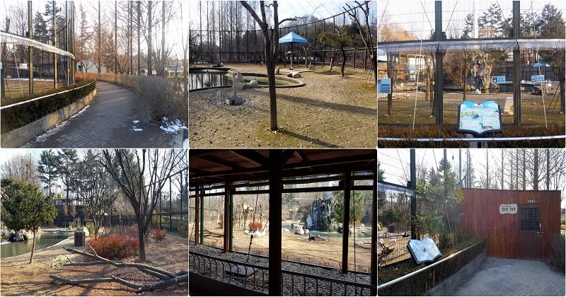 생태동물원 조성사업 관람대 공사 전과 후 / 전주시