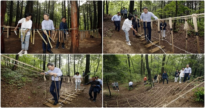 조경단 옆 임금님숲 / 전주시
