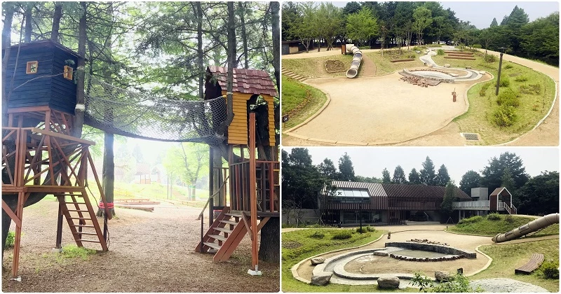 맘껏숲, 하우스 / 전주시