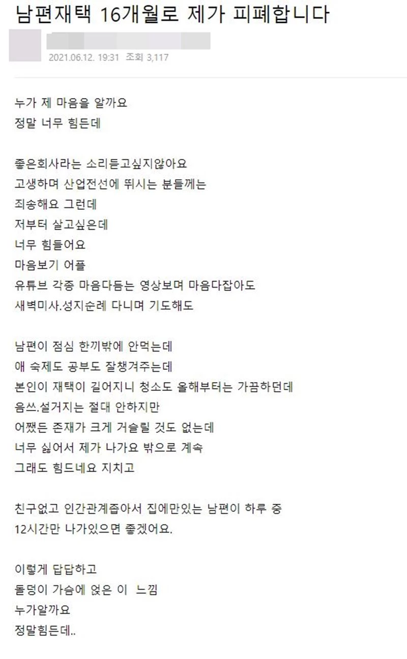 원 게시글 / 네이버 카페 '분당. 판교 따라잡기'