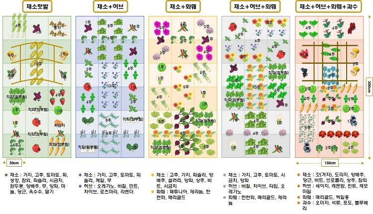 동반식물 활용 텃밭 디자인 / 농촌진흥청