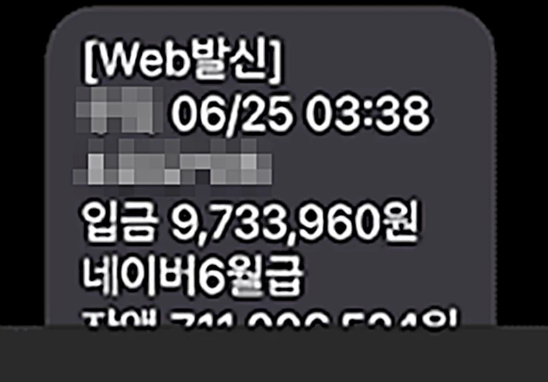 월급 내역 부분을 확대한 사진