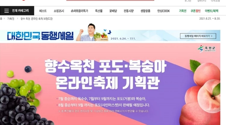 포도 북상아축제 판매 행사 / 옥천군
