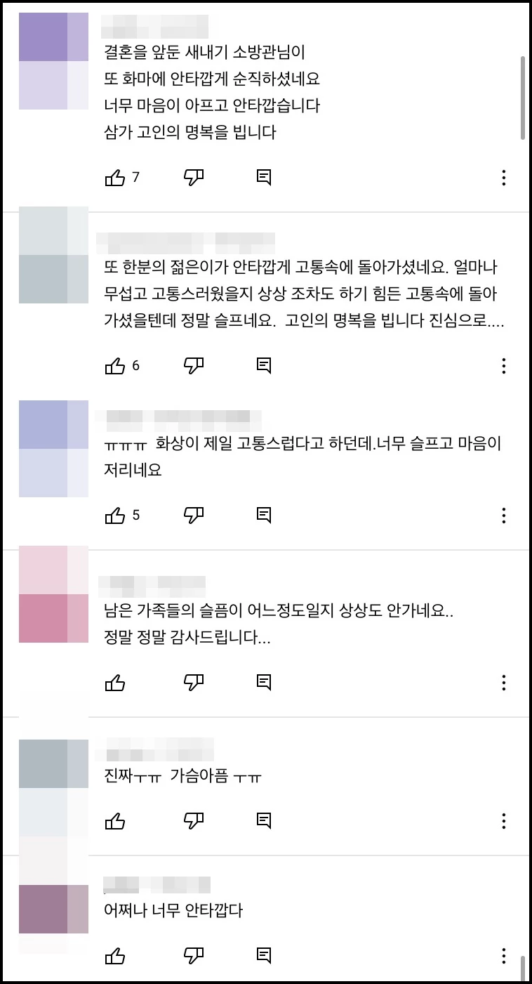 네티즌 반응 / 유튜브