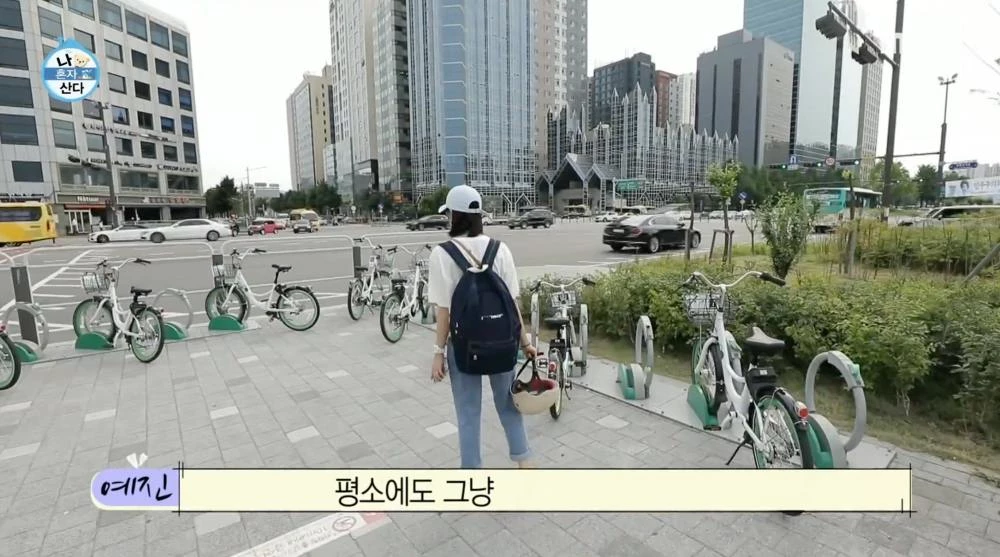 이하 MBC '나 혼자 산다'