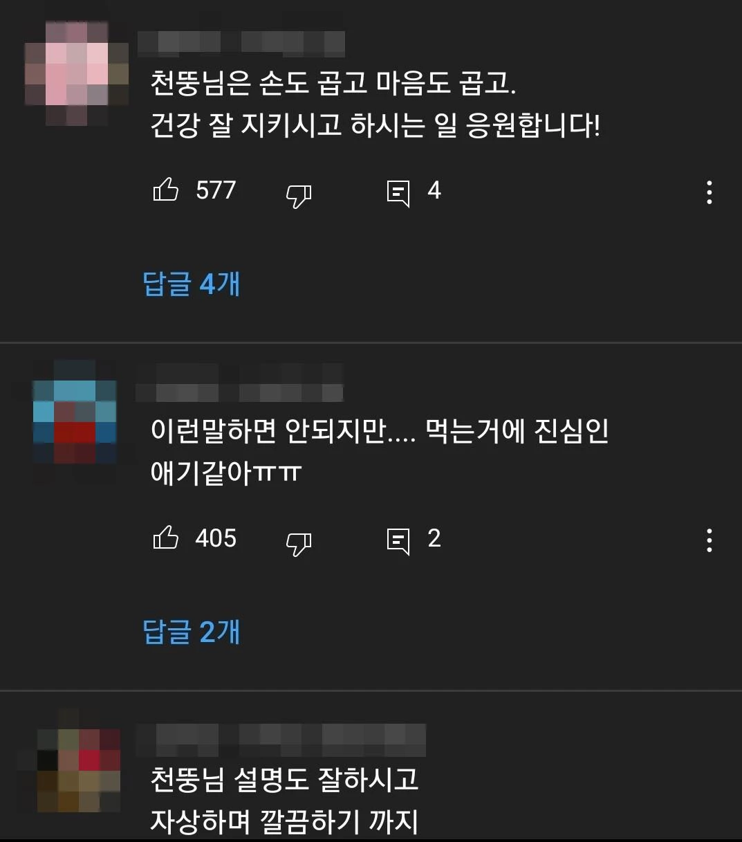 유튜브 '천뚱TV' 댓글 창 캡처