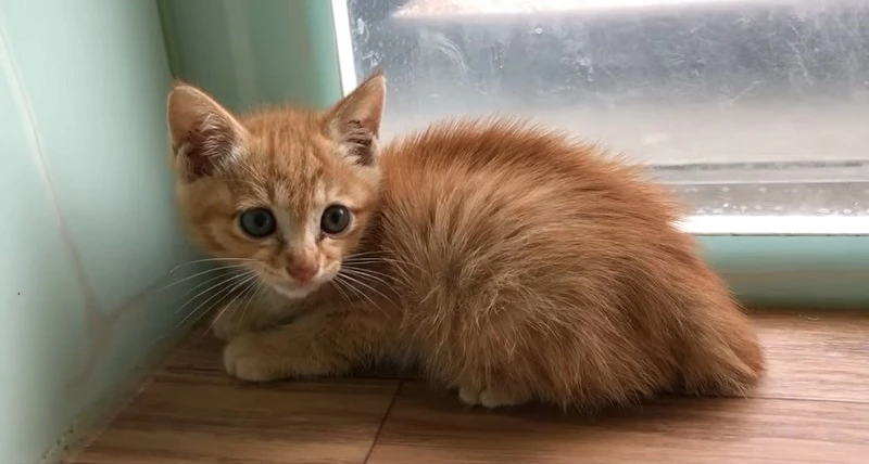 병원에 있는 퓨처 / 이하 케어 페이스북