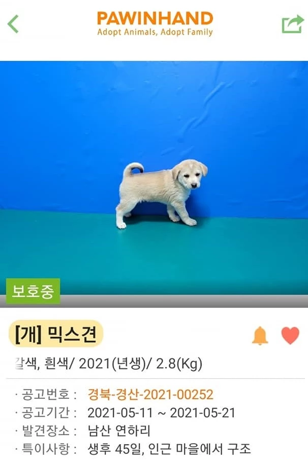 이하 페이스북 그룹 강사모