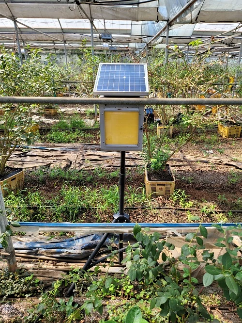 오토롤트랩_미소곤충형 / 농촌진흥청