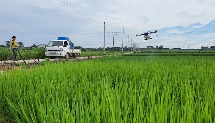 드론방제 / 익산시