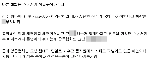 양궁협회를 전폭적으로 지원하는 현대자동차그룹에 대해 언급하고 있는 누리꾼. /디시인사이드 내 싱글벙글 지구촌 갤러리