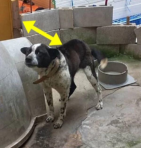 이하 인스타그램 @oe_jeong777