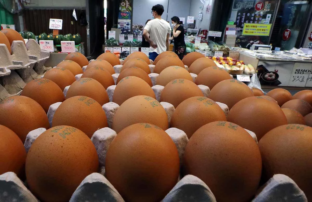 마트에서 판매되는 계란 / 뉴스1