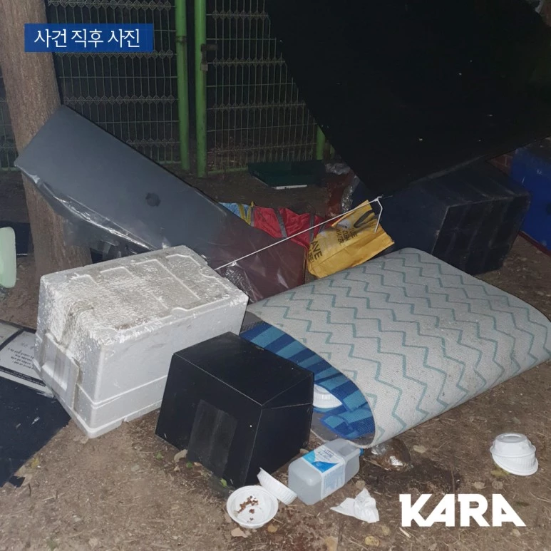 이하 카라 블로그