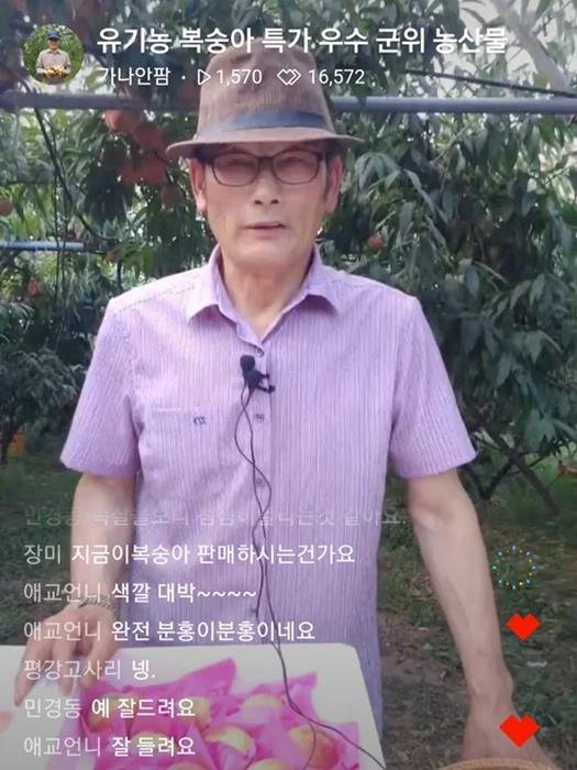 라이브커머스로 농가 돕기 방송 모습 / 군위군