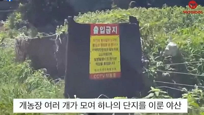 이하 케어 페이스북