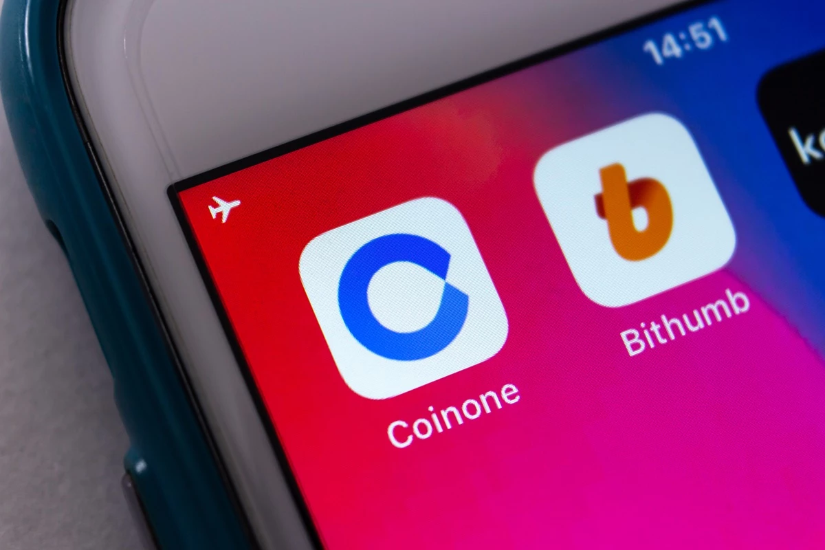 /이하 셔터스톡