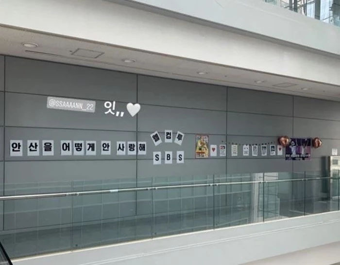 이하 인스타그램·트위터·온라인 커뮤니티 '더쿠'