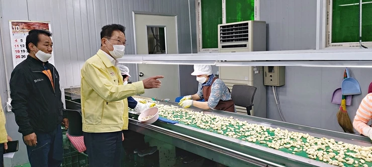 최기문 영천시장, 대전동 소재 (주)우진 농업회사법인 깐마늘 공장 방문 사진 / 영천시