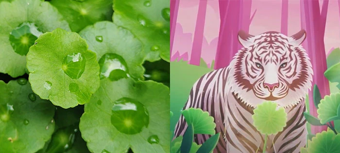 셔터스톡, 닥터자르트